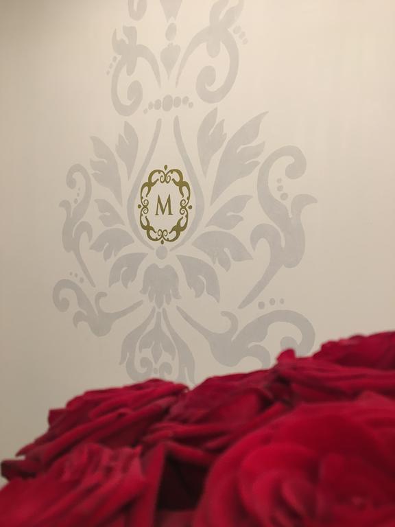 שטרסבורג Appartements Prestige - Demeure M מראה חיצוני תמונה